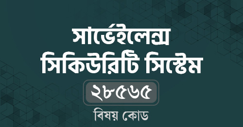 সার্ভেইলেন্স